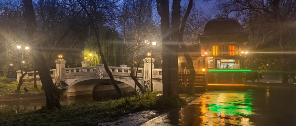 Cismigiu noaptea la pod