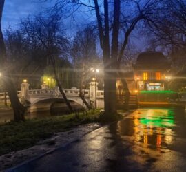 Cismigiu noaptea la pod